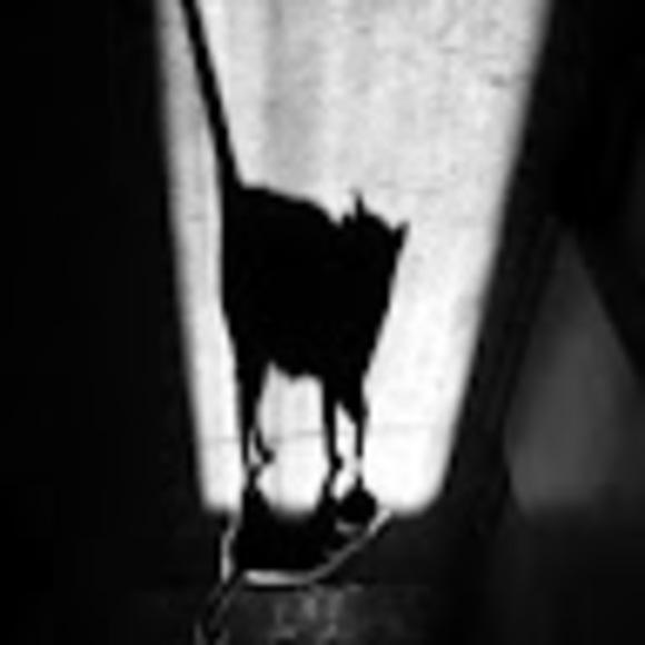 Meet your Posher, Veronica - Picture 1 of 1